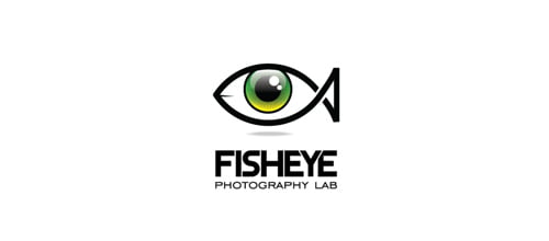 Eye Logo Designed