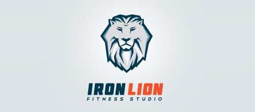 Impressive Lion Logo Design