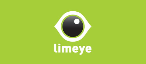 Eye Logo Designed