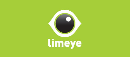 Eye Logo Designed