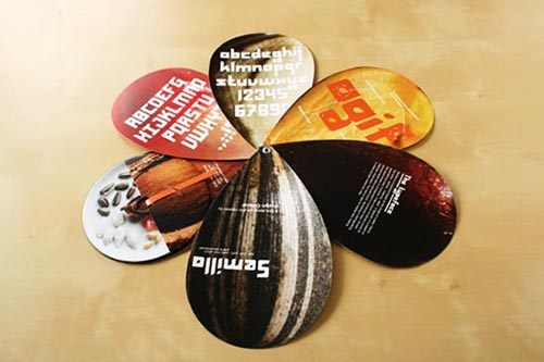 Promotional Booklets Design