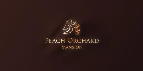 Horse Logo Design