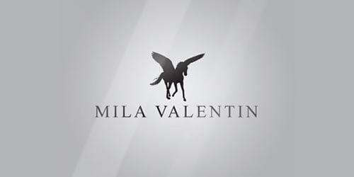 Horse Logo Design