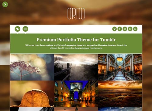 Premium Tumblr Themes