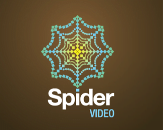 Spider Logo Design