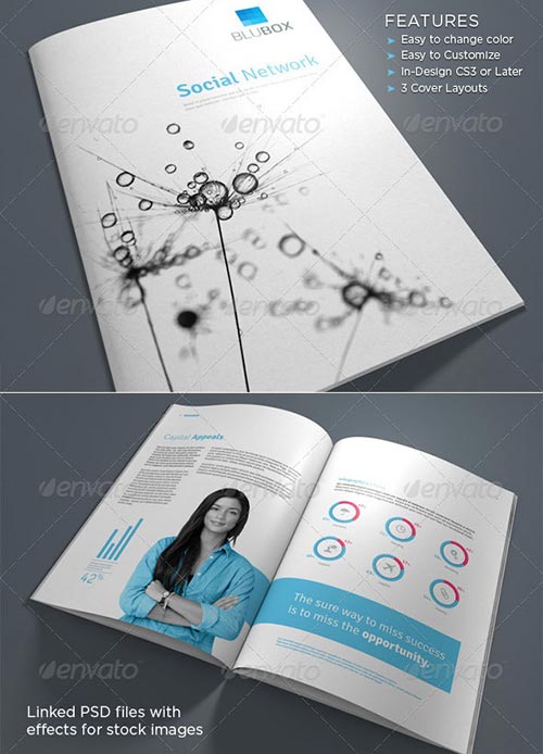 Inspiring Brochure Templates 2013