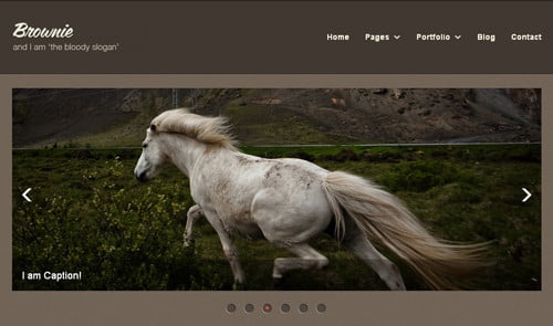 Free HTML5 and CSS3 Templates