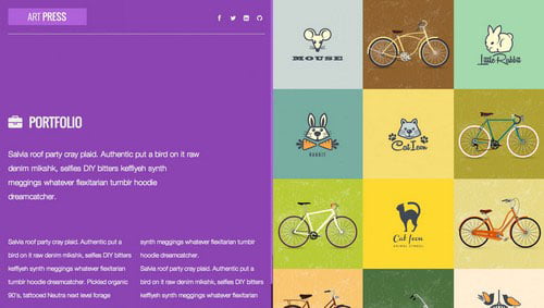 Portfolio Website Templates