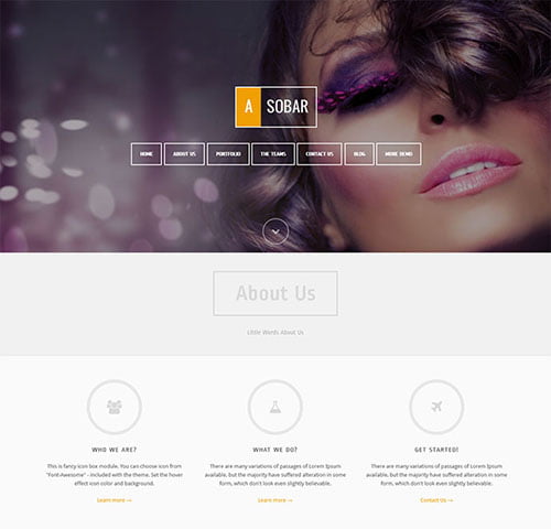 One Page WordPress Themes