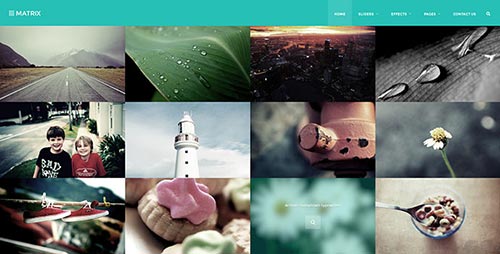 Portfolio HTM Templates