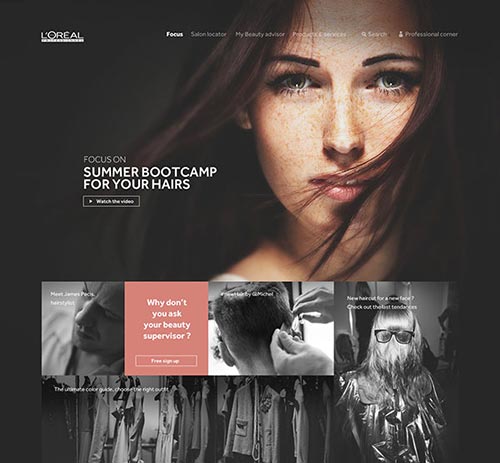 Web Design Concept