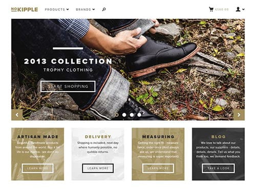 Web Design Concept