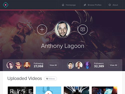 Web Design Concept