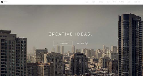 Premium Portfolio WordPress Themes