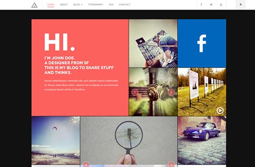 Premium WordPress Themes 2014