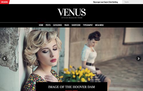 Premium WordPress Themes 2014