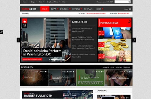 Premium WordPress Themes 2014