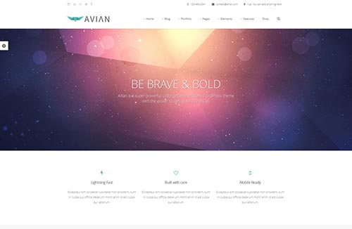 Premium WordPress Themes 2014
