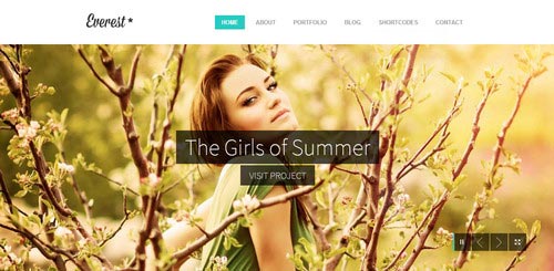 Flat WordPress Responsive Themes