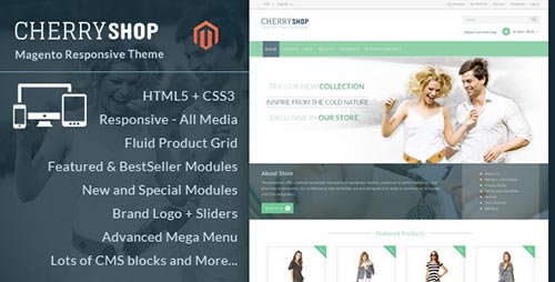 Magento Fashion Themes 2014