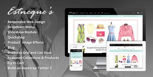 Shopify Themes & Templates