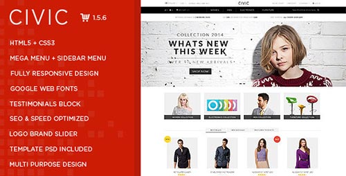 Premium eCommerce Themes & Templates