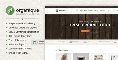 40+ Food & Recipe WordPress Themes