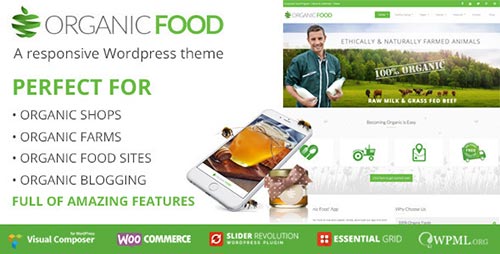 40+ Food & Recipe WordPress Themes