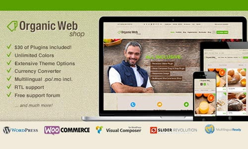 Responsive eCommerce WordPress Themes