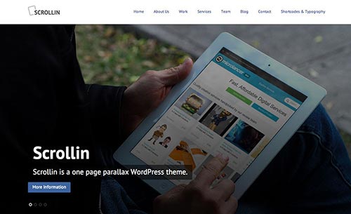 Portfolio & Business Single Page WordPress Themes