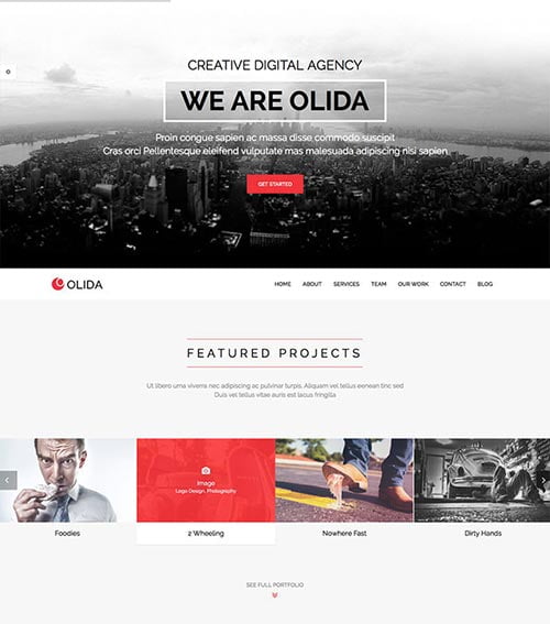 Portfolio & Business Single Page WordPress Themes