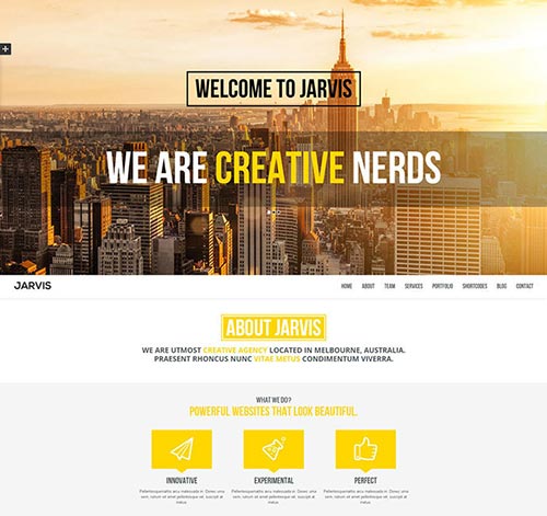 Portfolio & Business Single Page WordPress Themes