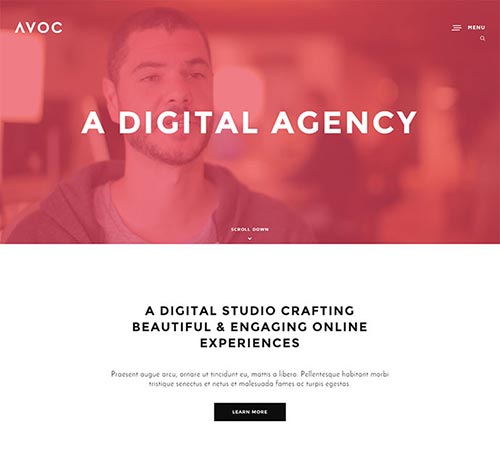 Portfolio WordPress Themes with Video Backgrounds