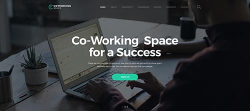 30 Best Business WordPress Themes