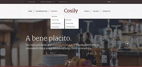 30 Best Business WordPress Themes