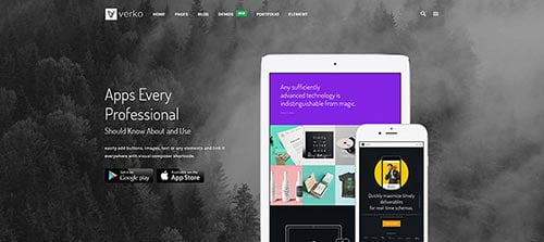 30 Best Business WordPress Themes